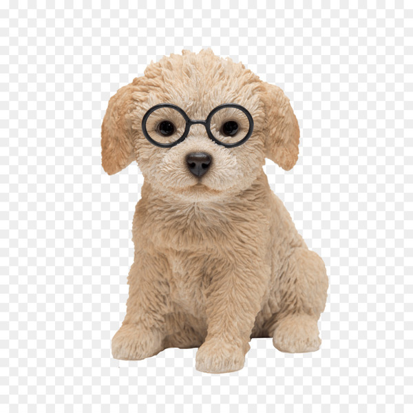 dog breed,puppy,dog,companion dog,breed,snout,stuffed animals  cuddly toys,crossbreed,groupm,mammal,vertebrate,canidae,toy poodle,glasses,carnivore,animal figure,sporting group,cocker spaniel,labradoodle,poodle,stuffed toy,figurine,miniature poodle,pekapoo,fawn,plush,beige,golden retriever,toy,nonsporting group,toy dog,png