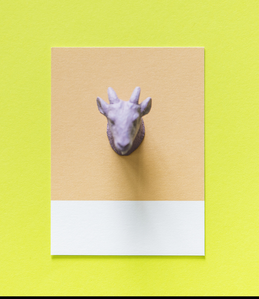 art,colors,design,figure,goat,head,horns,little,mini,miniature,paper,yellow background