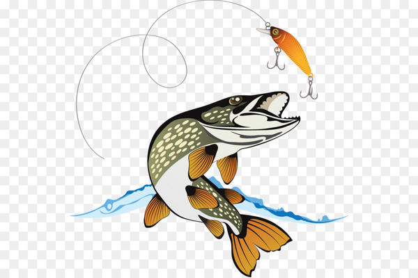 Free: Northern pike Royalty-free Stock photography Illustration - Jumping  little fish 