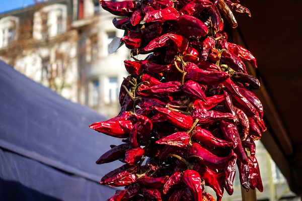 chili,chili peppers,dried,outside