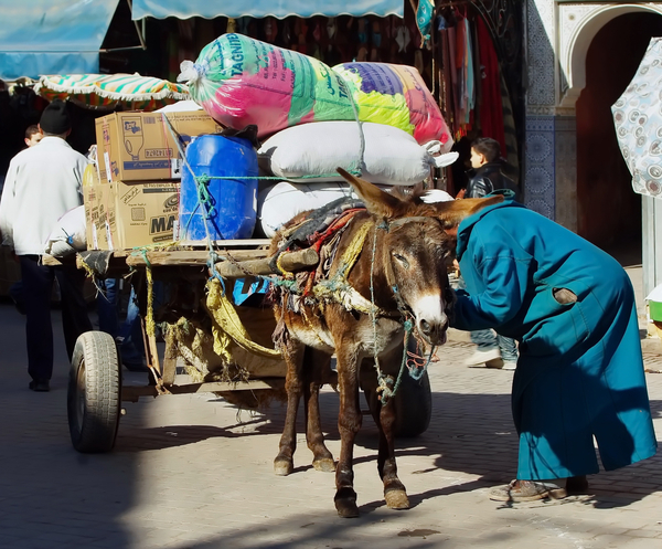 cc0,c1,morocco,marrakech,hitch,cart,transport,loading,free photos,royalty free