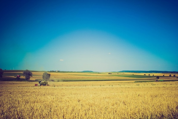 blue,sky,fields,farm,tractor,hay,trees