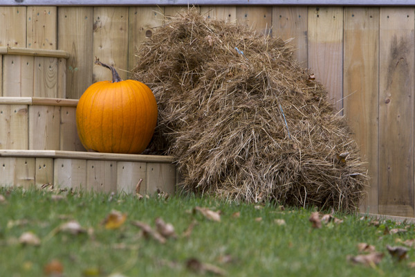 entrance,decoration,nobody,october,staircase,ornate,view,pumpkin,halloween,house,hay,straw,steps,front,autumn
