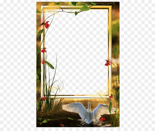 picture frame,photography,encapsulated postscript,dots per inch,digital image,square,interior design,window,grass,png