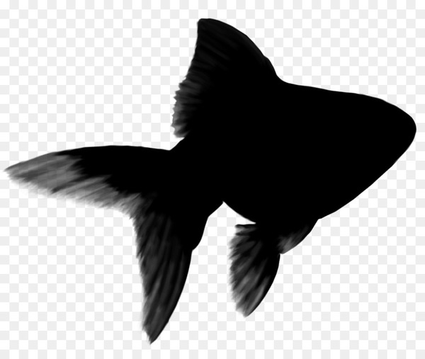 silhouette,black m,black,wing,blackandwhite,png