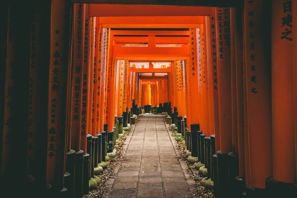 beautiful,building,orange,japan,red,travel,japan,japanese,tokyo,gate,structure,path,kyoto,japan,shadow,sun,light,zen,red,frame,traditional,creative commons images