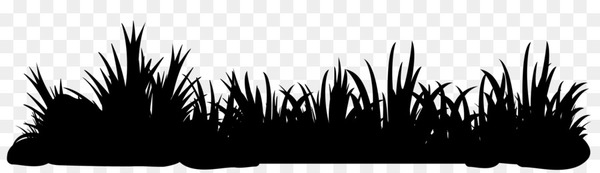 desktop wallpaper,computer,silhouette,grasses,tree,black m,blackandwhite,grass family,grass,plant,monochrome photography,photography,landscape,saguaro,perennial plant,png