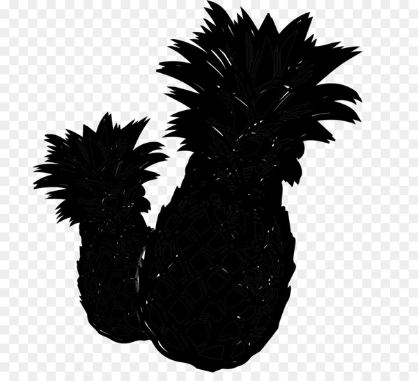chicken as food,black,plant,pineapple,tree,palm tree,fruit,feather,arecales,ananas,bromeliaceae,png