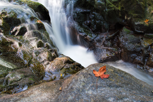 waterfall,wet,autumn,blur,blurred,cascade,cataract,cliff,colorful,fall,flow,flowing,forest,long exposure,maple,midwest,nature,plunge,plunging,remote,rocky,rural,scenic,splashes,splashing,trees,whitewater,woods,boulders,colors,creek,foliage,landscape,leaves