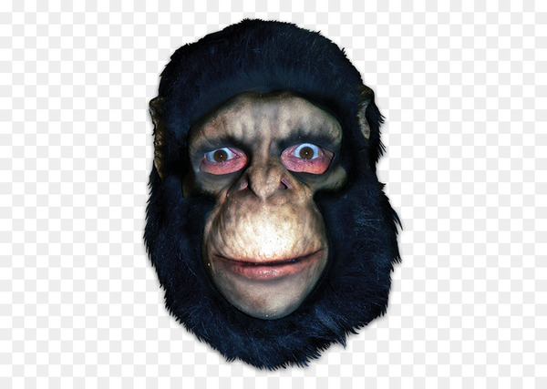 common chimpanzee,gorilla,mask,monkey,primate,homo sapiens,halloween,horse head mask,halloween costume,costume,face,snout,chimpanzee,ape,great apes,nose,head,great ape,masque,png