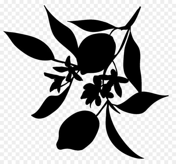 flower,silhouette,leaf,flowering plant,branching,plants,blackandwhite,monochrome photography,plant,botany,stencil,monochrome,logo,petal,art,png