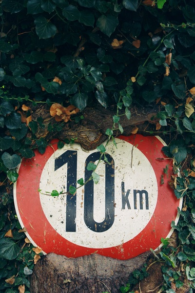wood,warning,tree,traffic sign,text,symbol,speed limit,speed,sign,shield,road sign,plant,overgrown,note,mileage,leaves,design,color,characters