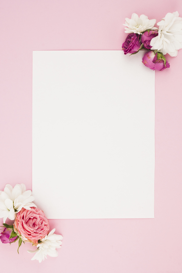 background,pattern,flower,floral,flowers,summer,paper,nature,beauty,pink,rose,spring,white background,flower pattern,pink background,backdrop,white,flower background,natural,corner,studio,page,simple,background flower,fresh,background pink,blossom,botanical,background white,beautiful,pink flower,flora,paper background,sheet,pink pattern,soft,object,petal,blank,empty,bloom,florist,high,botanic,simplicity,blooming,still,botany,against,freshness,softness,closeup,overhead,indoors,nobody,fragility,elevated,with