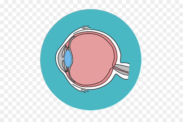eye,retina,visual perception,glaucoma,conjunctivitis,eye examination,optometry,health care,therapy,service,lake,aqua,circle,oval,png