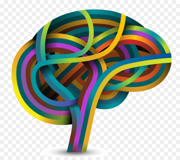 brain,neuroscience,learning,human brain,cognition,knowledge,learning knowledge,neuron,research,cognitive neuroscience,stick candy,lollipop,electric blue,png