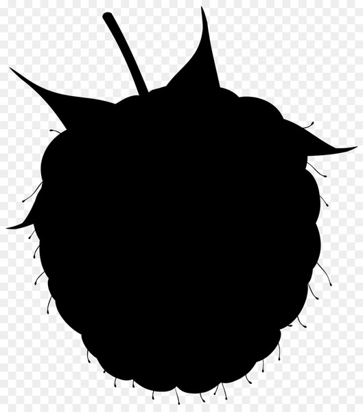 leaf,desktop wallpaper,silhouette,computer,line,flower,tree,snout,black m,plant,blackandwhite,symmetry,png