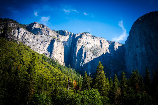 cc0,c1,valley,mountains,yosemite,yosemite valley,national parks,landscape,nature,sky,travel,rock,peak,scenic,outdoor,park,scenery,environment,hiking,natural,sun,morning,trees,summer,free photos,royalty free
