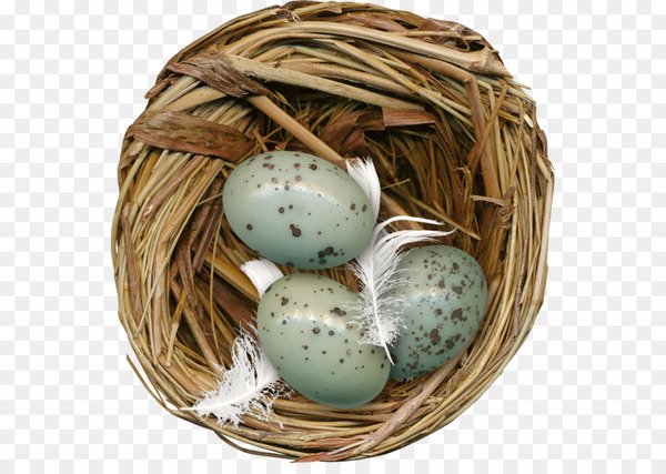 Golden Egg In A Nest With Leaves PNG Images