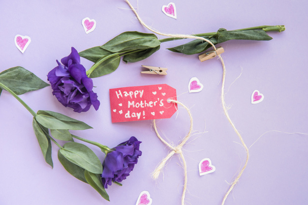 closeness,copy space,tenderness,lay,beg,arrangement,twine,phrase,emotional,composition,copy,horizontal,set,flat lay,carton,violet background,string,mothers,top view,top,day,creative background,flat background,festive,view,celebration background,flower label,green leaves,word,violet,wooden,elegant background,title,mom,pastel,rope,creative,flower background,decoration,colorful background,flat,elegant,white,event,mother,holiday,colorful,text,happy,celebration,space,mothers day,pink,green background,tag,blue,green,paper,leaf,blue background,love,heart,label,flower,background