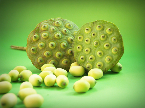 cc0,c1,lotus,seed,flower,leaf,pod,indian,closeup,isolated,produce,aquatic,natural,agriculture,tropical,green,dessert,white,river,sweet,herbal,organic,waterlily,east,lake,asia,medicine,vegetable,macro,flora,round,up,care,group,close,plant,ingredient,seedpod,fruit,beautiful,background,fresh,water,nature,detail,lily,food,nut,botany,freshness,free photos,royalty free