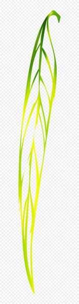 leaf,vegetable,plant stem,line,tree,plants,green,yellow,plant,grass family,grass,png