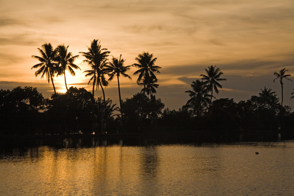 cc0,c1,india,kerala,backwaters,sunset,palm trees,free photos,royalty free