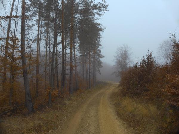fog,mountain,path,trail,landscape