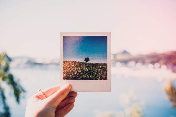 beautiful,bright,hand,landscape,light,man,nature,outdoors,person,photo,photograph,picture frame,polaroid,scenic,sky,summer,sun,sunset,travel,water,Free Stock Photo