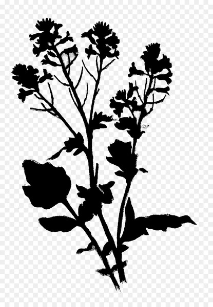 twig,flower,plant stem,leaf,silhouette,flowering plant,plants,plant,botany,blackandwhite,pedicel,png