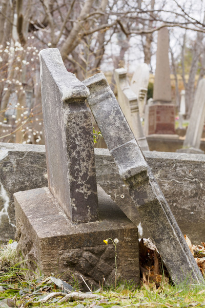 abandoned,ancient,antique,autumn,background,cemetery,christian,cross,dead,death,faith,forest,funeral,ghost,grass,grave,gravestone,graveyard,green,ground,halloween,headstone,history,holy,memorial,monument,nature,old,outdoors,religion,spooky,stone,symbol,tombstone,tranquil,trees,vintage,woods,newfoundland and labrador,canada