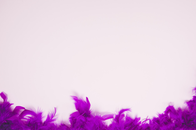 Free: Soft feathers on the light pink background with space for writing the  text 