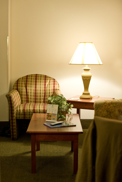 hotel,room,table,chairs,lamp,comfortable,interior,light,plant,decor,gracey,travel