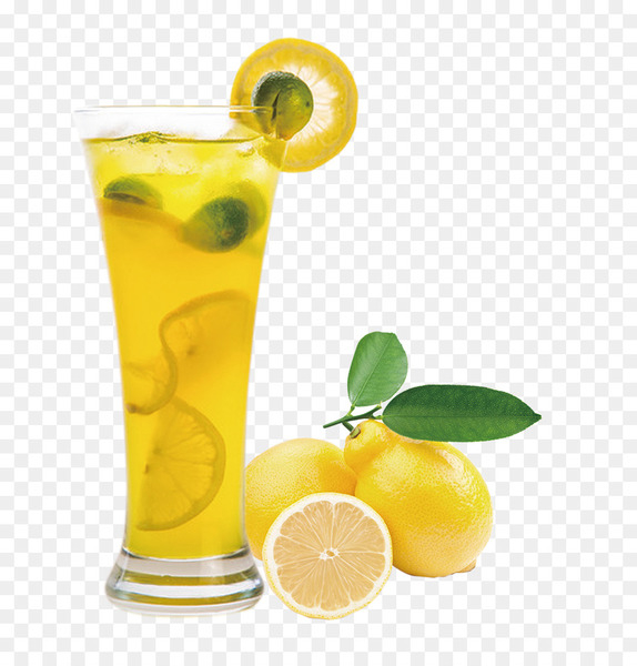 juice,lemon,extract,lemon balm,fruit,seed,lemon juice,powder,lime,drink,food,citrus medica var dulcis,plant,dried fruit,citrus,lemonade,lemon lime,cocktail garnish,fuzzy navel,lime juice,cocktail,limonana,citric acid,health shake,harvey wallbanger,non alcoholic beverage,orange juice,spritzer,orange drink,limeade,png