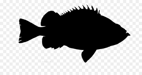fauna,silhouette,fish,black m,bonyfish,rayfinned fish,png