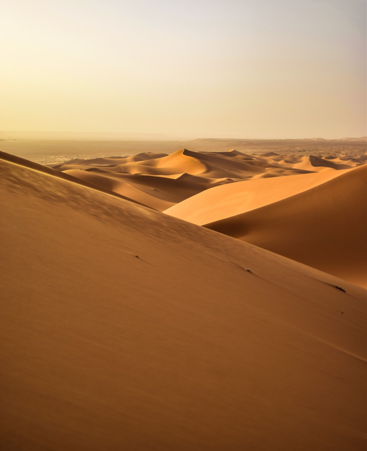 adventure,arid,dawn,desert,dry,dune,hot,landscape,remote,sahara,sand,sand dunes
