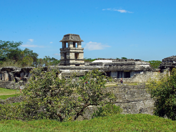 cc0,c1,mexico,palenque,ruins,archaeology,palace,city,maya,free photos,royalty free
