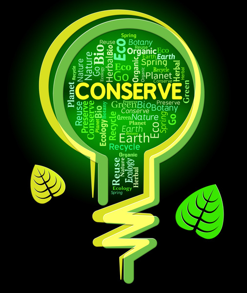 conservation,conserve,conserve lightbulb,conserves,conserving,countryside,environment,environmental,green,light bulb,lightbulb,lightbulbs,natural,nature,outdoors,preservation,preserve,preserves,preserving,protect,protecting,protection,rural,save,sustain,sustainable,sustains