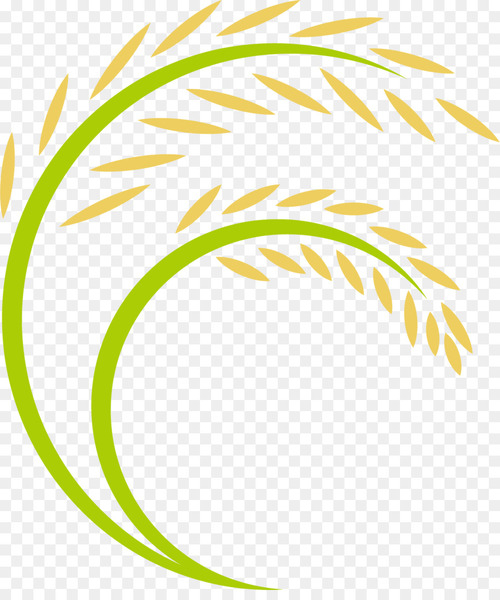 Yellow gold Harvest paddy rice logo vector collection design Stock Vector |  Adobe Stock