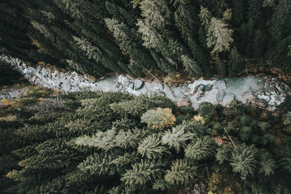 drone,river,wood,nature,trees,forest,flow,cold,overhead,view,scenic,landscape
