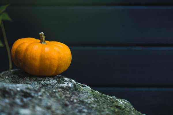  pumpkin,background, fall decoration