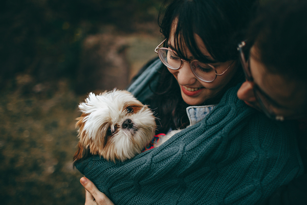 adult,animal,animal lover,blanket,bonding,canine,close-up,couple,cozy,cute,daylight,dog,dog owner,embracing,facial expression,family,friendship,fur,girl,grass,happy,hugging,little,love,mammal,outdoors,people,pet,puppy,reading glasses,shih tzu,smiling,togetherness,wear,woman,Free Stock Photo