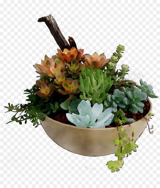 floral design,herb,flowerpot,flower,plant,echeveria,cut flowers,floristry,bouquet,succulent plant,houseplant,flower arranging,artificial flower,png