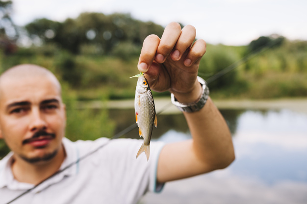 people,water,hand,man,nature,fish,human,person,success,natural,fishing,river,fresh,lake,holding hands,up,death,day