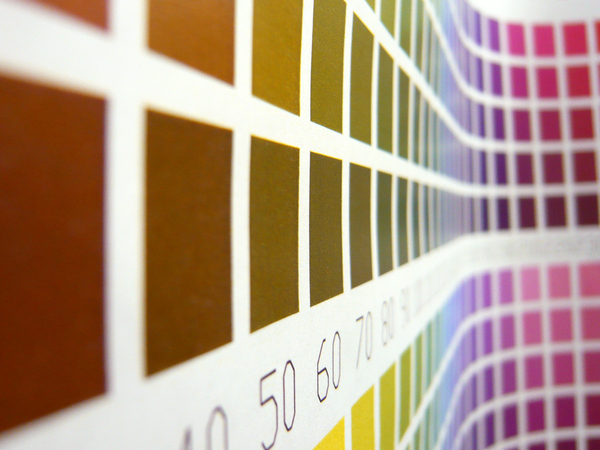 colour chart,color,colour,colours,chart,paint choices,swatches