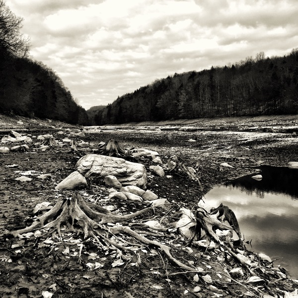 woods,water,waste,trees,stream,stones,sky,rocks,reflections,outdoors,landscape,clouds,black and white