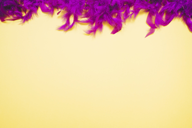 Free: Top purple feathers border on yellow background with copy space for  writing the text 
