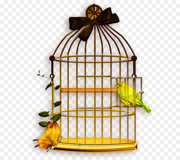 bird,lovebird,domestic canary,budgerigar,cockatiel,birdcage,cage,pet,finches,drawing,parrots,parakeet,loriini,parrot,true parrot,bird supply,pet supply,png