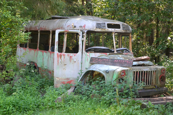 cc0,c1,bus,old,rusty,transport,forest,russia,photo,nature,trees,sunny day,driver,free photos,royalty free