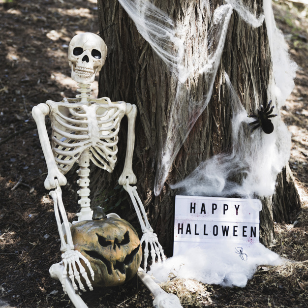 tree,halloween,forest,autumn,skull,black,happy,square,sign,board,decoration,symbol,pumpkin,bone,skeleton,black board,horror,spider,sitting,decor