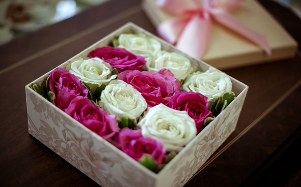 pink,white,roses,box,punnet,romantic,love,flowers,woman,gift,present,fauna,nature,people